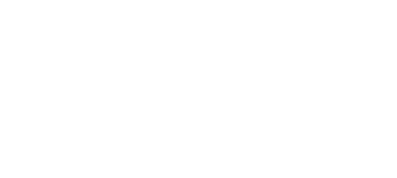 logo groupe iris